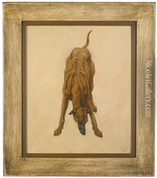 A Study Of A Greyhound Oil Painting - Camille Van Camp