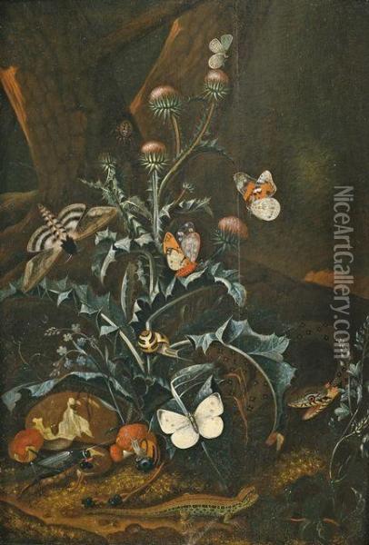 Waldbodenstilleben Mit Distel, Schmetterlingen, Schnecke Und Echsen Oil Painting - Carl Wilhelm de Hamilton