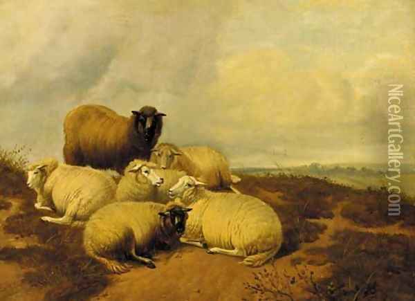 Sheep resting in a meadow 3 Oil Painting - Thomas Sidney Cooper