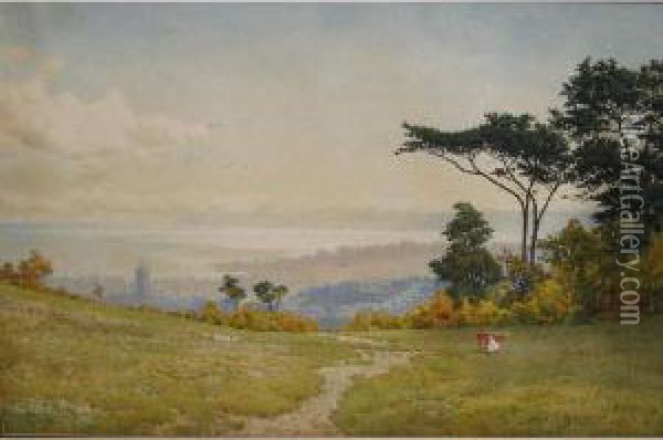 Panoramic View Over Paignton Towards Berry Head From Fields Above Preston Oil Painting - Arthur Suker