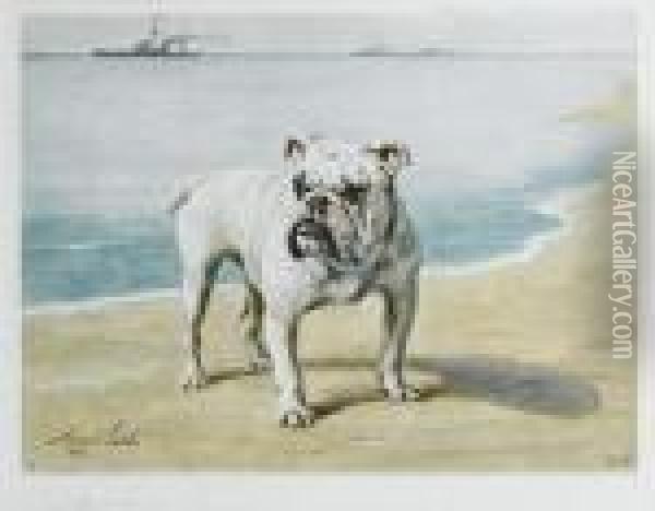 British Bulldog Oil Painting - Maud Earl