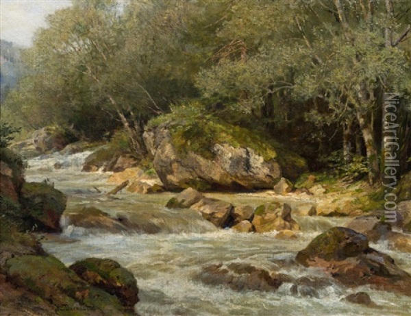 River Landscape (raabklamm) Oil Painting - Hugo Darnaut