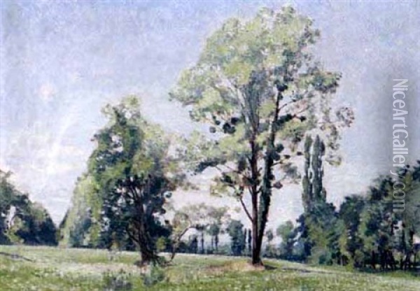 Landschaft Bei Cointrin Oil Painting - Maurice Baud