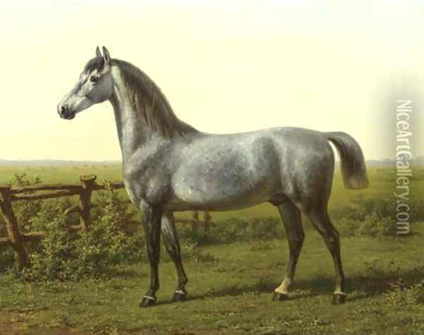 Portrait of a grey horse Oil Painting - Willem Carel Nakken