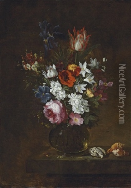 A Rose, A Tulip, An Iris, Poppies, And Other Flowers In A Glass Vase, With Seashells On A Table Oil Painting - Jacques Grief De Claeuw