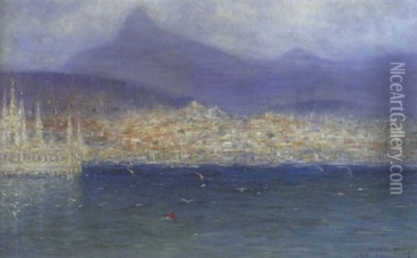Rio De Janeiro Oil Painting - Marie Gabriel Biessy