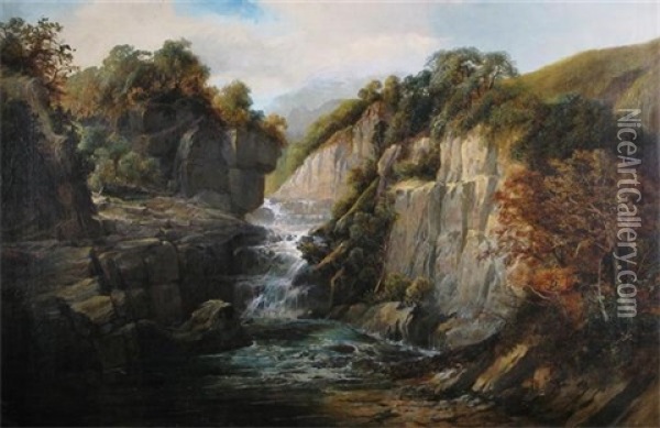A Waterfall In A Rocky Gorge Oil Painting - Clarence Henry Roe