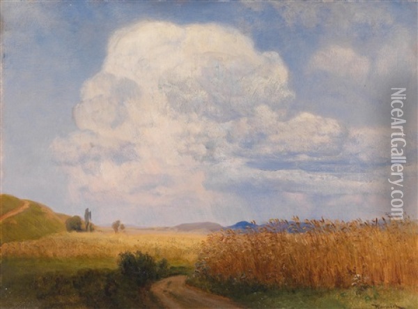 Aufsteigende Gewitterwolken Im Hochsommer (motiv Bei Puchberg Am Schneeberg) Oil Painting - Anton Hlavacek