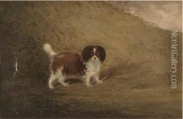 A Spaniel In A Landscape Oil Painting - Francis Sartorius