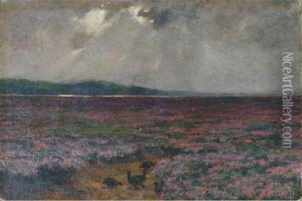 Tract Of Scottish Heath Land With Five Grouse In The Foreground Oil Painting - John Guille Millais