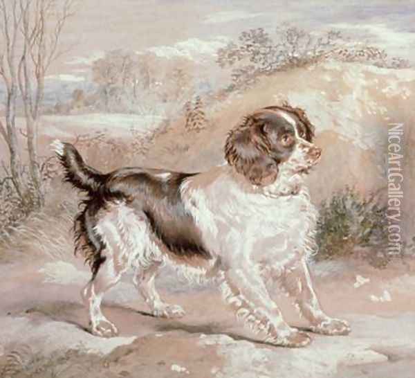 A Spaniel Oil Painting - Sir Edwin Henry Landseer