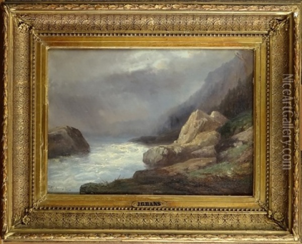 Bord De Mer Oil Painting - Josefus Gerardus Hans