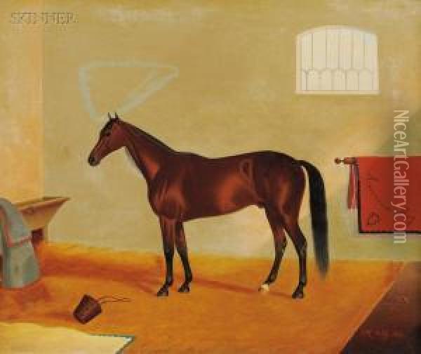 American Boy
/an Equine Portrait Oil Painting - James J. Mcauliffe