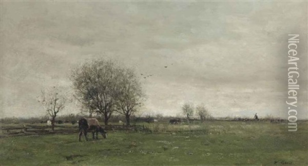 Cows In A Dutch Polder Landscape Oil Painting - Willem Maris