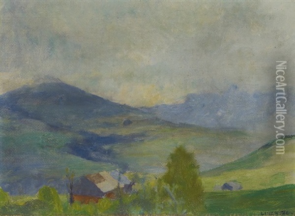 Faneren Mit Wolkenschatten Oil Painting - Carl August Liner