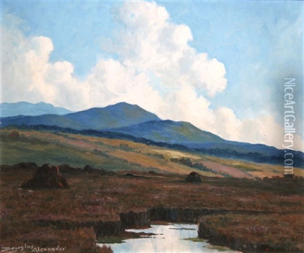 Near Recess, Connemara Oil Painting - Douglas Alexander