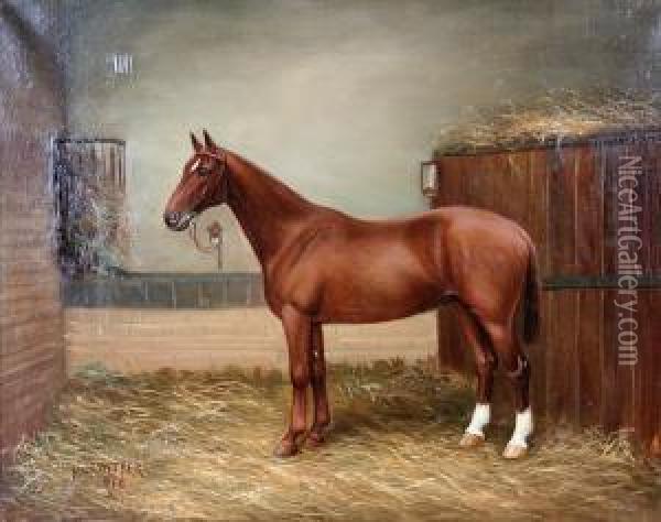Chestnut Hunter In A Stable Oil Painting - Henry Crowther