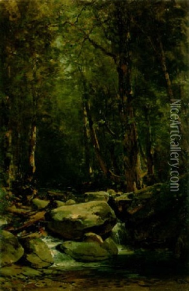 A Boulder-strewn Forest Stream Oil Painting - Thomas Hill