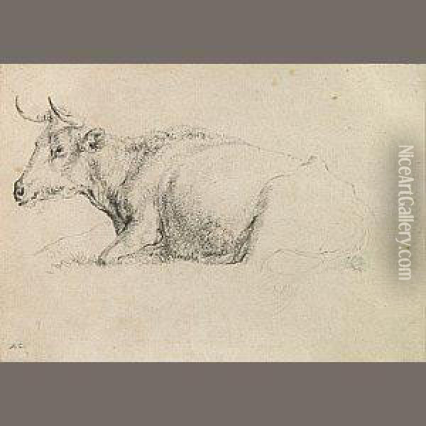 A Study Of A Cow Oil Painting - Aelbert Cuyp