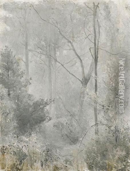 Morning Mist Oil Painting - Tom Roberts