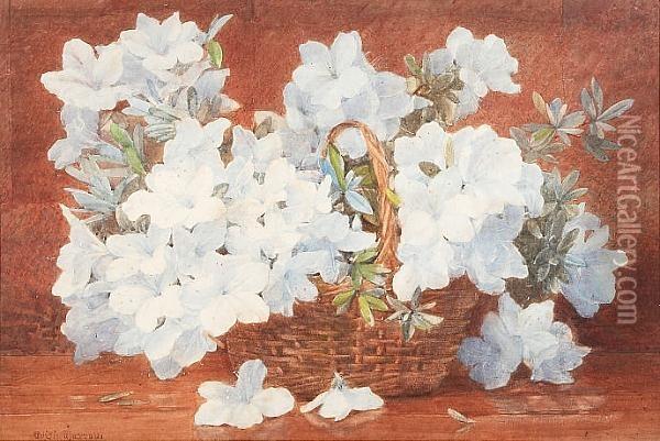 Still Life Of Flowers, Framed And Glazed Oil Painting - Edith Isabel Barrow