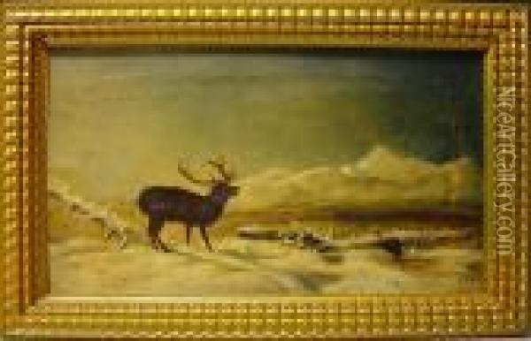 Hirsch In Mit Schnee Bedeckter Landschaft An Einem See Oil Painting - William Widgery