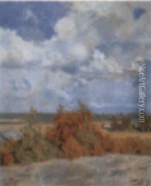 Landskap Oil Painting - Antti Faven