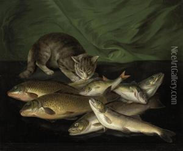 A Cat And Dead Fish On A Stone Ledge Oil Painting - Stephen Elmer