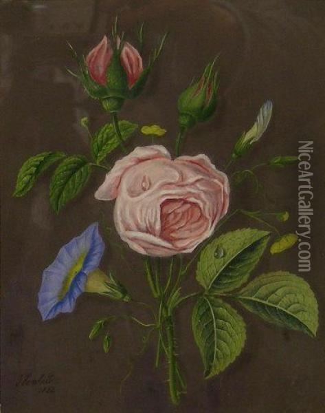 Still Life Of Roses And Convolvulus Oil Painting - James Hewlett