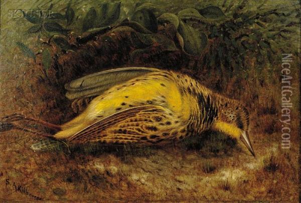 Meadow Lark Oil Painting - Samuel A. Kilbourne
