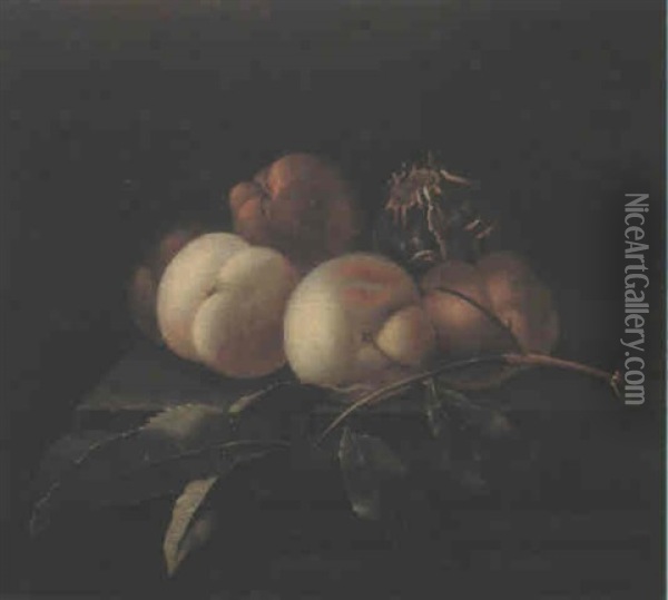 Stilleben Mit Pfirsichen Und Anderen Fruchten Oil Painting - Willem Van Aelst