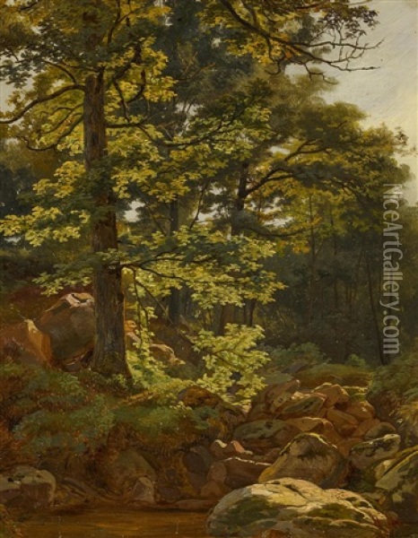 Waldlandschaft Mit Bachlauf Oil Painting - Iwan Iwanowicz Shishkin