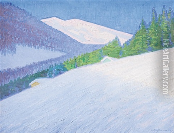 Zimni Krajina Oil Painting - Arnost Hofbauer