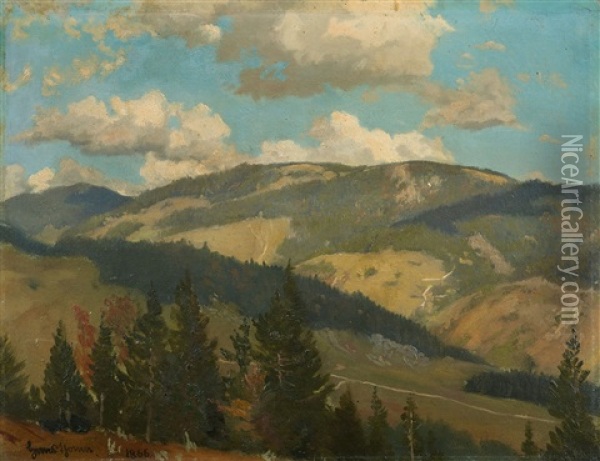 Study From The Surroundings Of Bernau Oil Painting - Hans Thoma