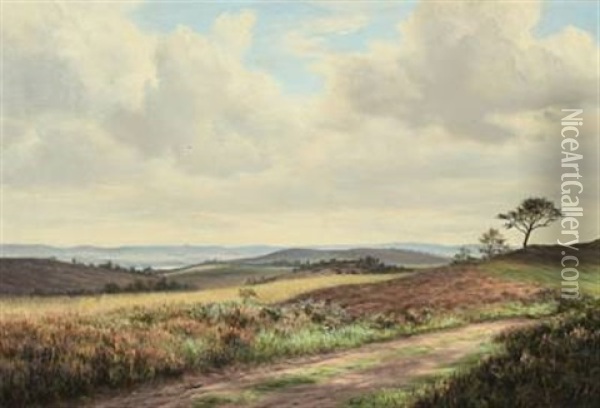 Moor Landscape Oil Painting - Adolf Alfred Larsen