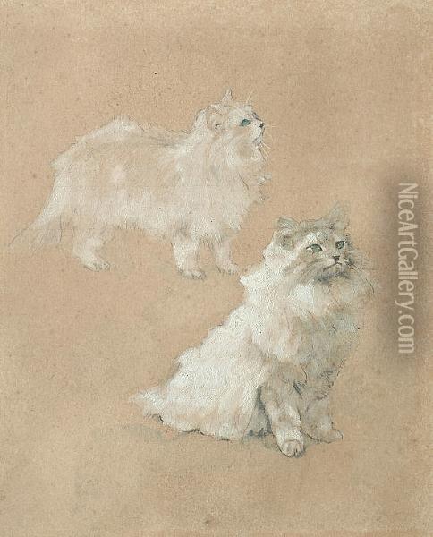 Study Of Two Cats Oil Painting - Henri Ramah