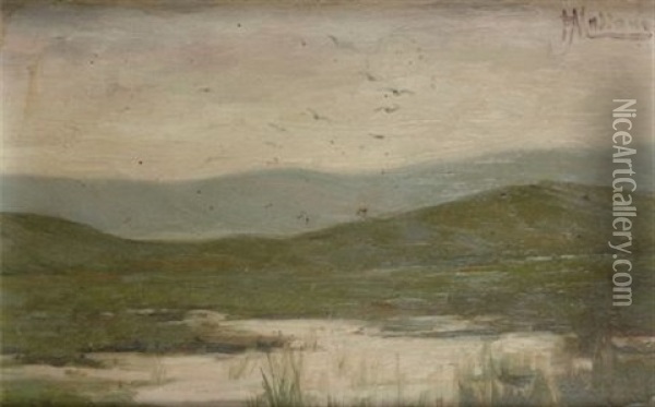 Palude Oil Painting - Pompeo Massani
