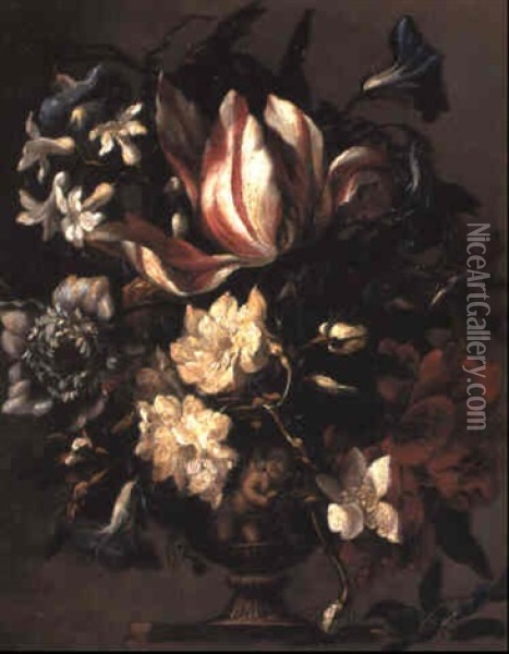 A Tulip And Other Flowers In A Sculpted Urn On A Pedestal Oil Painting - Bartolome Perez