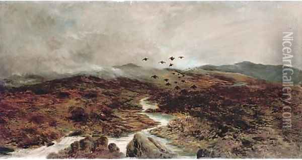 Grouse over the moors Oil Painting - English School
