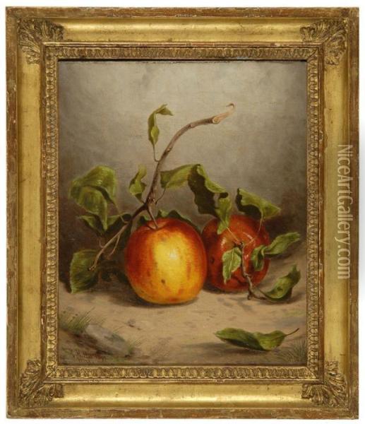 Still Life With Apples Oil Painting - William Rickarby Miller