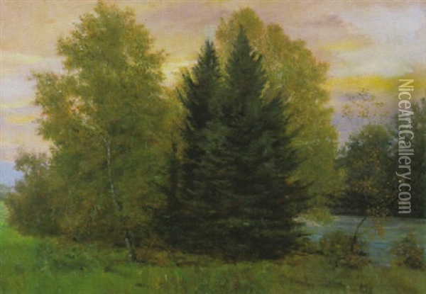 Birken Und Tannen Oil Painting - Julius Kornbeck