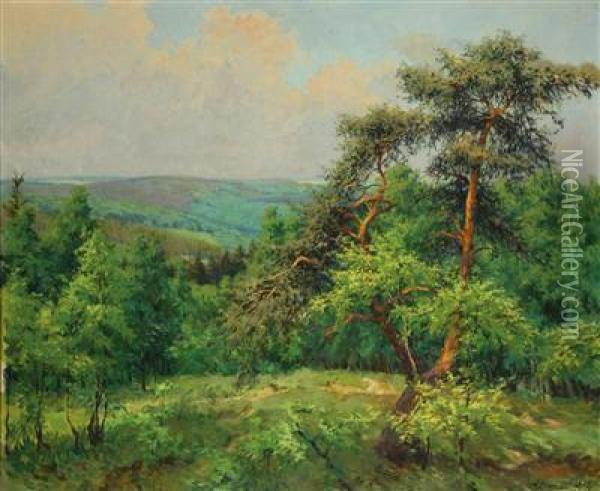 Sommerlandschaft Mit Kiefer Oil Painting - Oldrich Hlavsa