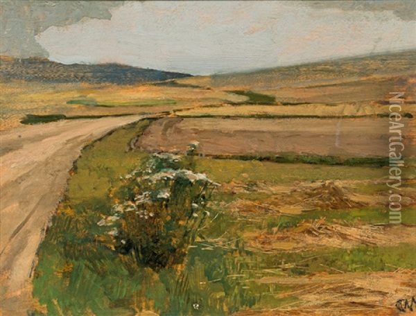 Landscape In Plankenberg Oil Painting - Carl Moll
