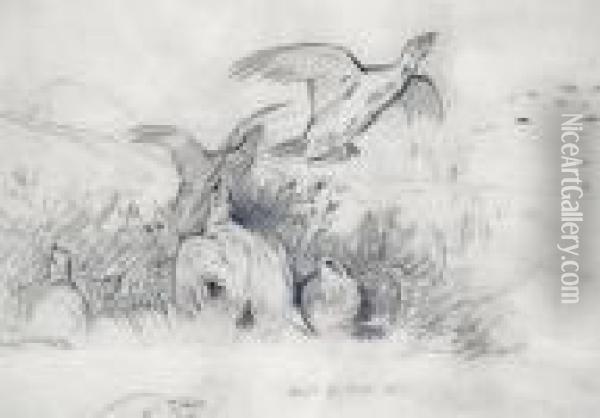 A Sketch Of Grouse Oil Painting - Archibald Thorburn