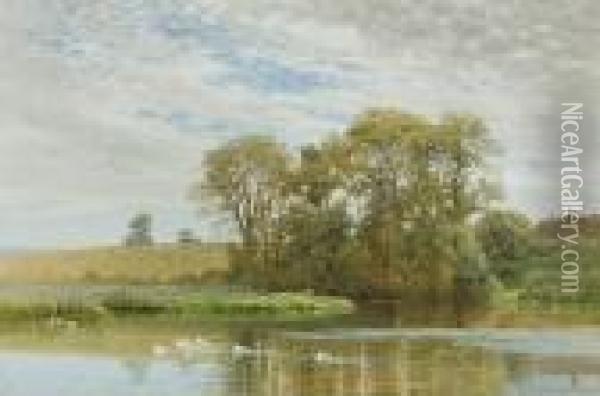 Ducks On The Village Pond Oil Painting - Harry Sutton Palmer