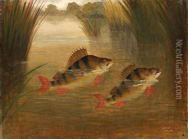 Perch Rising Oil Painting - A. Roland Knight