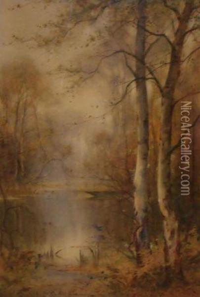 A Woodland Pool Oil Painting - Thomas Tayler Ireland
