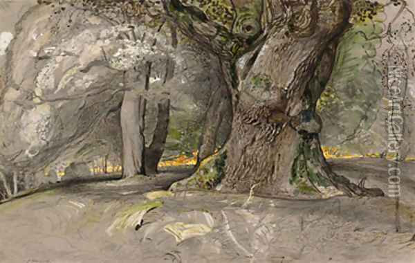Oak tree and beech, Lullingstone Park Oil Painting - Samuel Palmer