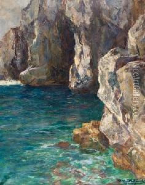 Skaliste Wybrzeze - Capri Oil Painting - Albert Wenk