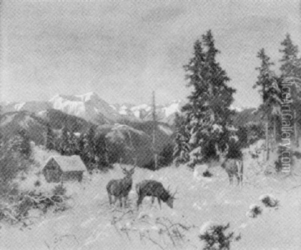 Hirsche Im Verschneiten Wald Oil Painting - Josef Schmitzberger